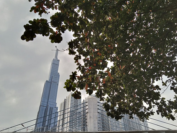 Đánh giá Vivo Y11: Đối thủ xứng tầm của Redmi 8