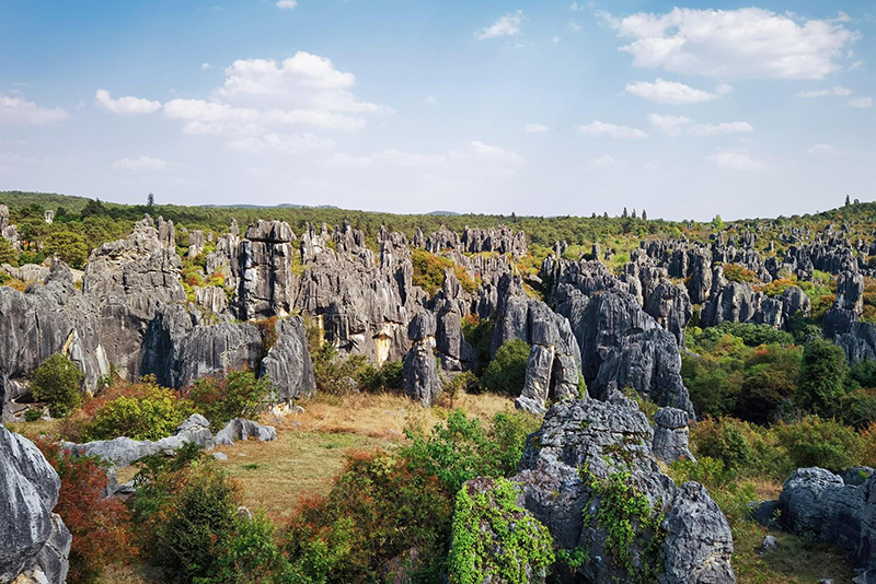 Điện thoại Huawei P40 | Ảnh chụp góc siêu rộng