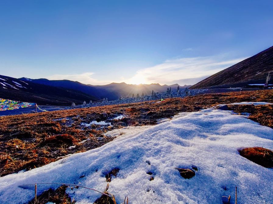 Điện thoại Realme X50 Pro Player Version mang đến chất lượng ảnh chụp sắc nét, tự nhiên