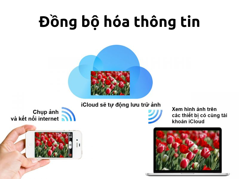 Mọi điều cần biết về iCloud: iCloud là gì? Có công dụng gì?