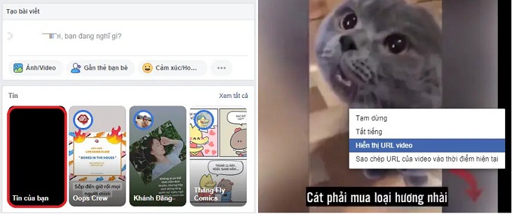Chọn video muốn đăng lên bảng tin, click chuột phải chọn tiếp hiển thị URL video Chọn video muốn đăng lên bảng tin, click chuột phải chọn tiếp hiển thị URL video