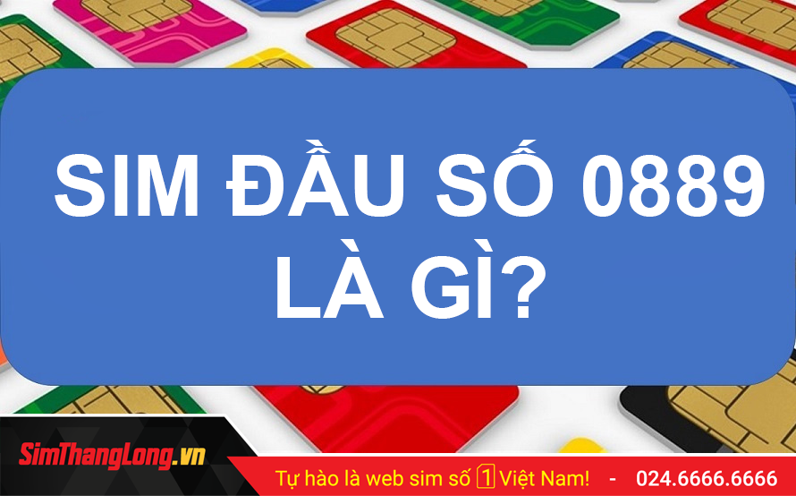sim-dau-so-0889