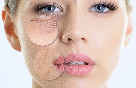 lão hóa da là gì