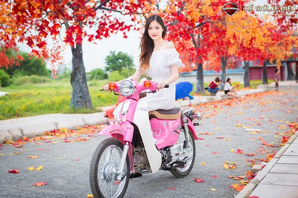 Có nên mua xe máy số 50cc Wave, Cub, Sirius, Exciter, giá rẻ từ trên 10 triệu không và những sự thật đau lòng không tốt như bạn nghĩ