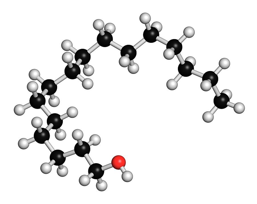 Cetyl Alcohol là gì?