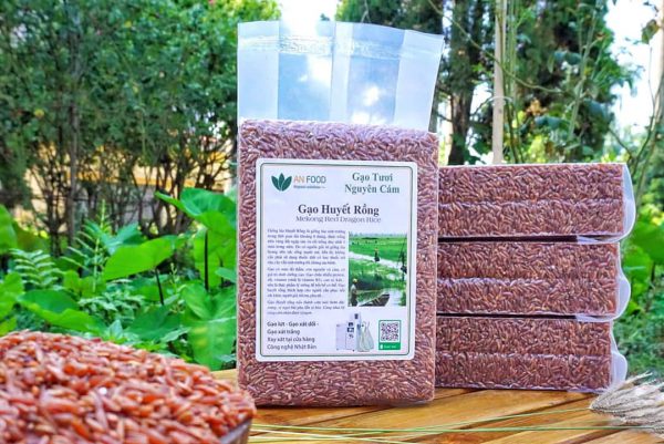 Sữa gạo lứt huyết rồng bổ dưỡng Sữa gạo lứt huyết rồng bổ dưỡng